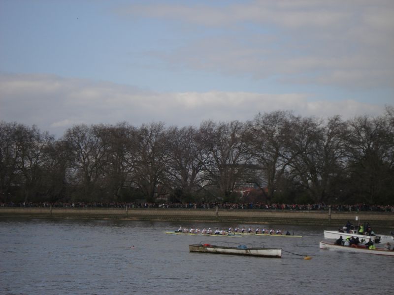 Viewing photos→2009→2009-03-29→13