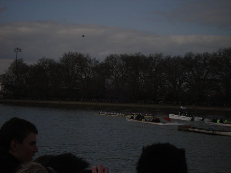 Viewing photos→2009→2009-03-29→14