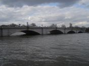 26.jpg - 2009:03:29 15:47:30