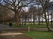 35.jpg - 2009:03:29 16:02:43