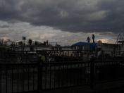 39.jpg - 2009:03:29 16:10:11