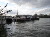 40.jpg - 2009:03:29 16:11:00