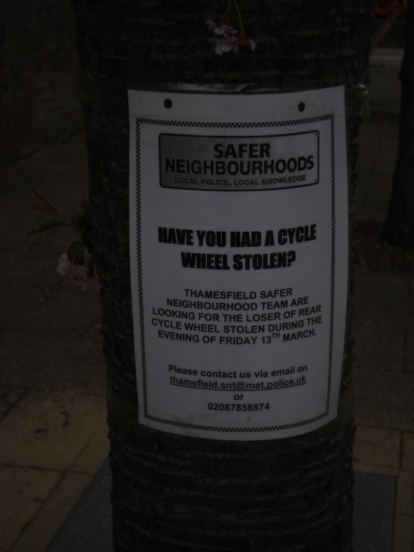Viewing photos→2009→2009-03-29→44