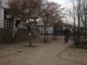 45.jpg - 2009:03:29 16:15:46