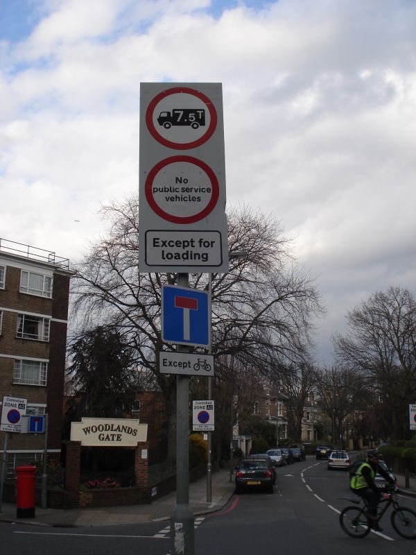 Viewing photos→2009→2009-03-29→50