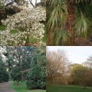 2009-04-09<br/>
<b>Kew Gardens</b>
