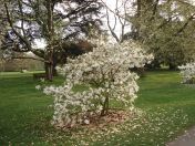 01.jpg - 2009:04:09 17:14:36