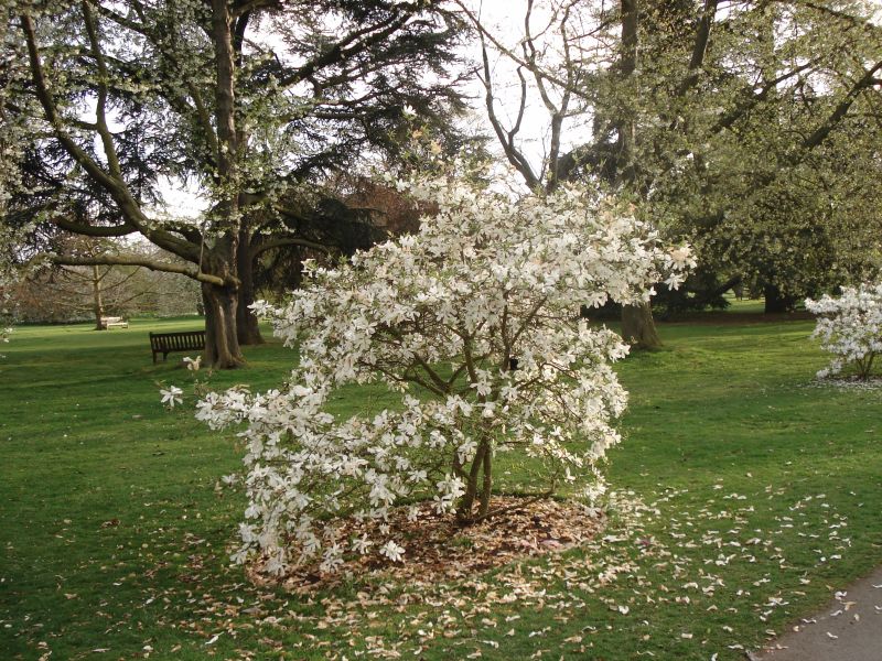 Viewing photos→2009→2009-04-09→01