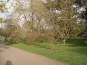 02.jpg - 2009:04:09 17:15:17