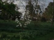 03.jpg - 2009:04:09 17:16:54