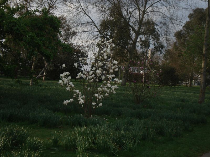 Viewing photos→2009→2009-04-09→03