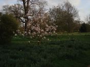 04.jpg - 2009:04:09 17:17:00