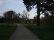 05.jpg - 2009:04:09 17:17:10