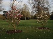 06.jpg - 2009:04:09 17:17:46