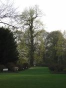 08.jpg - 2009:04:09 17:18:28