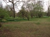 10.jpg - 2009:04:09 17:19:49