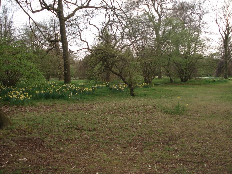 Viewing photos→2009→2009-04-09→10