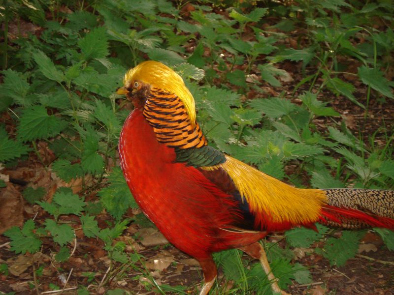 Viewing photos→2009→2009-04-09→13