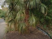 14.jpg - 2009:04:09 17:23:24