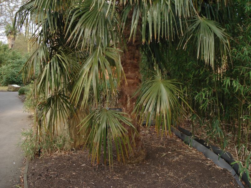 Viewing photos→2009→2009-04-09→14