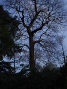 15.jpg - 2009:04:09 17:24:02