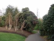 16.jpg - 2009:04:09 17:27:05