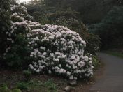 17.jpg - 2009:04:09 17:27:40