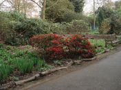 18.jpg - 2009:04:09 17:28:15