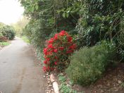 19.jpg - 2009:04:09 17:28:20