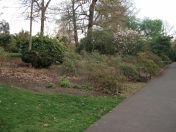 20.jpg - 2009:04:09 17:28:49