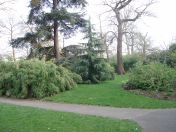 21.jpg - 2009:04:09 17:29:14