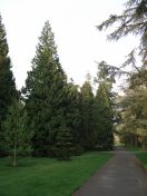 25.jpg - 2009:04:09 17:37:01