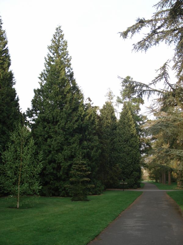 Viewing photos→2009→2009-04-09→25