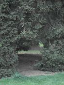 26.jpg - 2009:04:09 17:37:13