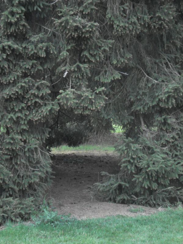 Viewing photos→2009→2009-04-09→26