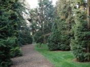 27.jpg - 2009:04:09 17:38:09