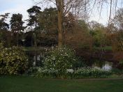 28.jpg - 2009:04:09 17:38:59