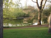 31.jpg - 2009:04:09 17:42:08