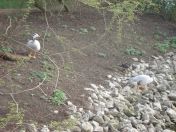 35.jpg - 2009:04:09 17:44:10