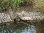 37.jpg - 2009:04:09 17:45:06