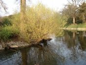 38.jpg - 2009:04:09 17:45:15