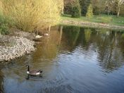 39.jpg - 2009:04:09 17:45:32