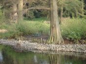 40.jpg - 2009:04:09 17:46:20