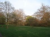 41.jpg - 2009:04:09 17:47:39