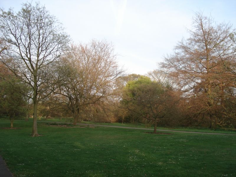 Viewing photos→2009→2009-04-09→41