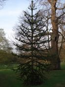 42.jpg - 2009:04:09 17:48:19