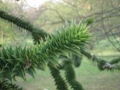 43.jpg - 2009:04:09 17:48:43