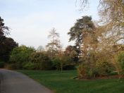 46.jpg - 2009:04:09 17:51:02