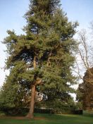 48.jpg - 2009:04:09 17:53:02