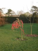 50.jpg - 2009:04:09 17:53:39